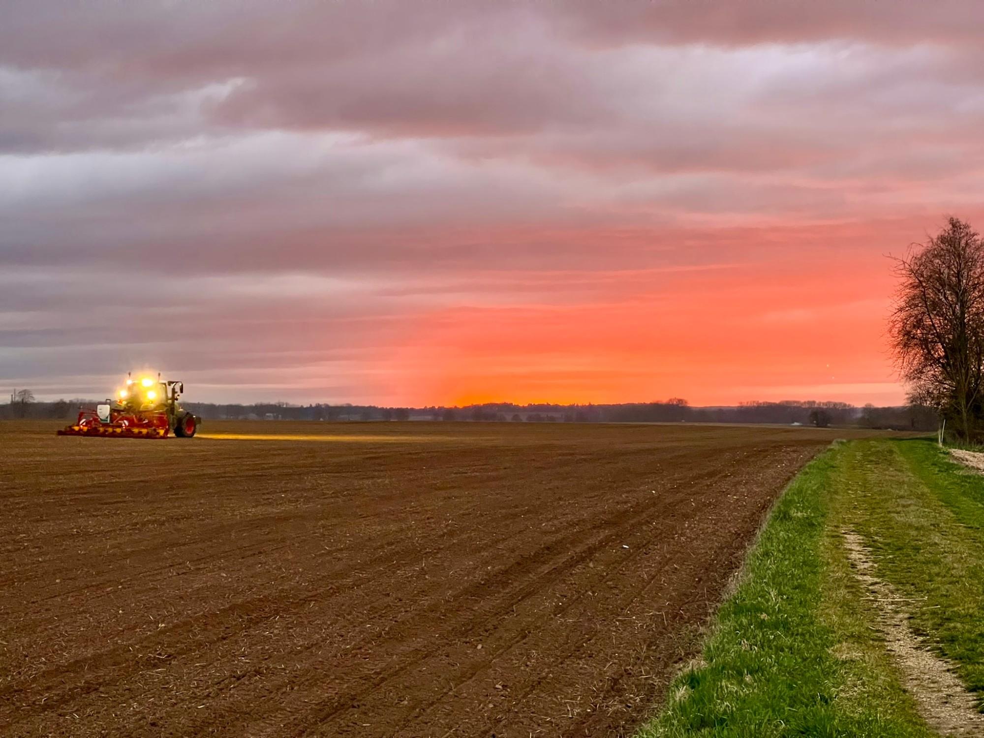 Traktor bei der Aussaat im Abendrot